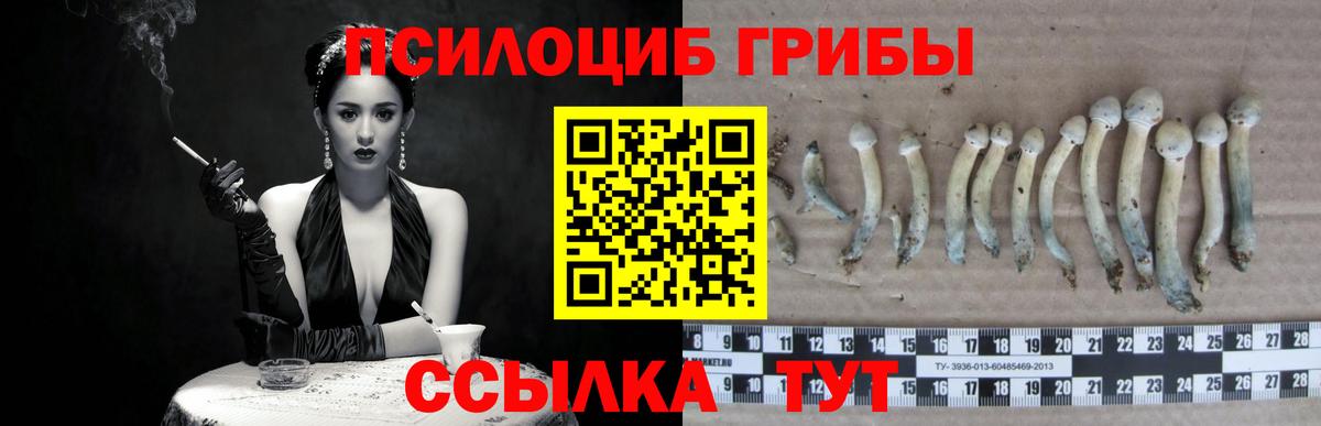 Галлюциногенные грибы MAGIC MUSHROOMS Ивантеевка